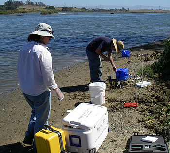 Groundwater fingered as a source of methylmercury in coastal waters