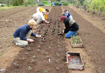 Fall gardening workshop set for Saturday, August 28