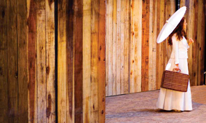 Philanthropy Focus: Three Shakespeare Santa Cruz benefactors aim to make sure the show will go on