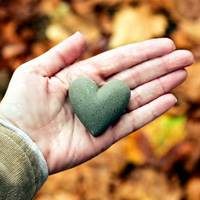 Private giving climbs 9.4 percent at UCSC; alumni giving nearly triples