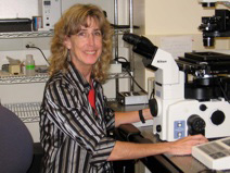 Biologist Susan Strome wins Ellison Medical Foundation grant