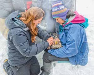 Uncommon People / Rachel Wheat and Yiwei Wang: Crowdsourcing for research