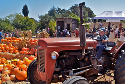 UCSC Farm hosts Fall Harvest Festival Sunday,  September 29