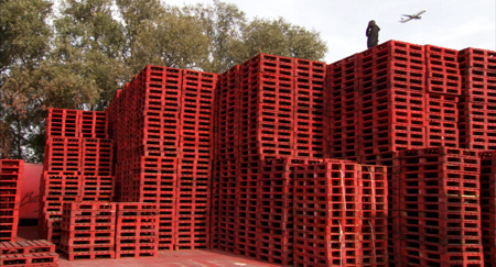 Center for Emerging Worlds hosts screenings of films on global Islam