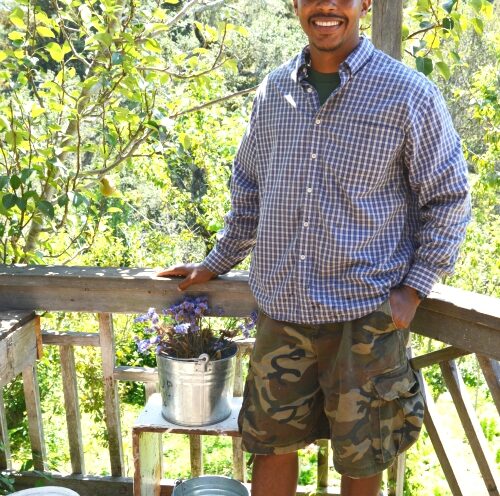 In soil we trust: How military veterans learn to become organic farmers at UC Santa Cruz