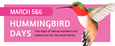 UC Santa Cruz Arboretum holds annual Hummingbird Days March 5-6