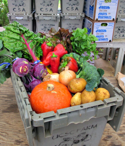 UC Santa Cruz Farm’s CSA program features 5 percent discount through April 1