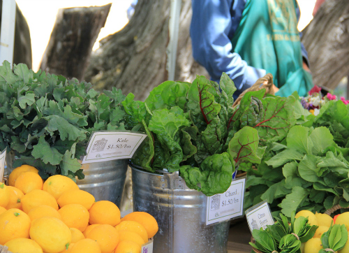 UCSC Farm & Garden’s weekly CSA and market cart open for the season June 7