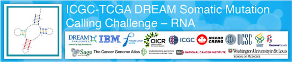 Research competition to unravel how cancer changes a cell’s RNA