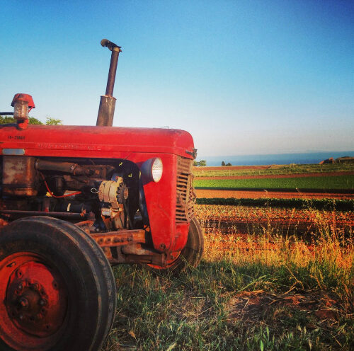 Sustainable agriculture educators gather at UC Santa Cruz