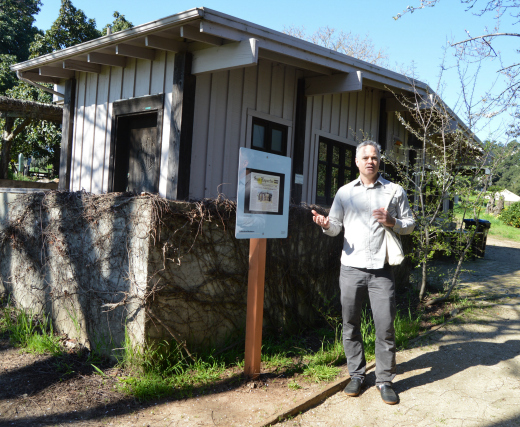 Linking agriculture and art