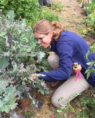 Campus receives $440,000 grant to study sustainable practices for urban agriculture