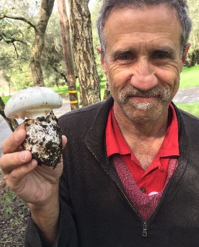 Saving victims of deadly toxic mushrooms