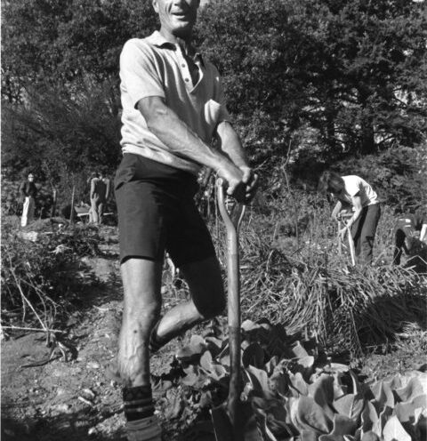 Growing farmers and the food movement for 50 years