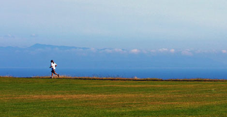 Alumni to run for fun—and a good cause