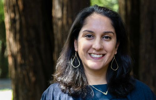 Sikina Jinnah named a 2017 Andrew Carnegie Fellow