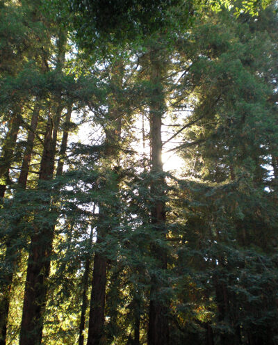 Group looks at shifting culture to focus on accountability