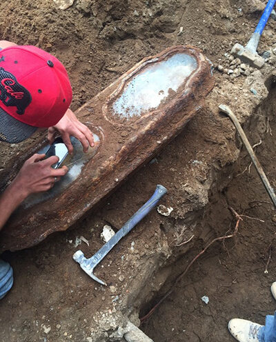 UC Santa Cruz genetics lab helps solve the mystery of ‘Miranda Eve’