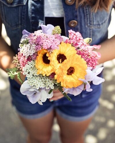 Gardening workshops July 29 are part of UC Santa Cruz celebration of 50 years of organic farming