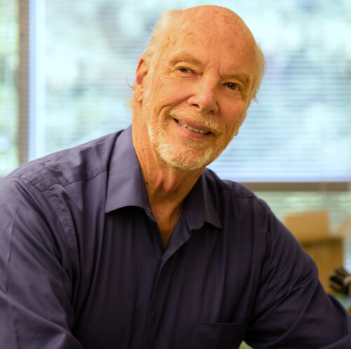 Did life begin on land rather than in the sea?