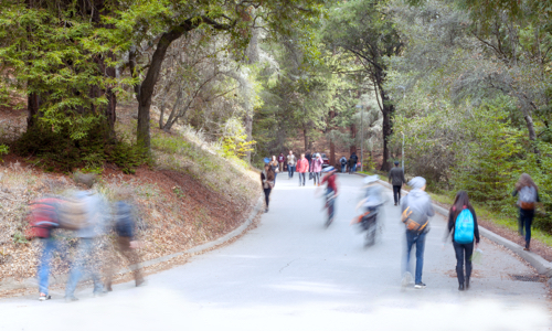 New opportunities for faculty to engage with Beyond Compliance initiative