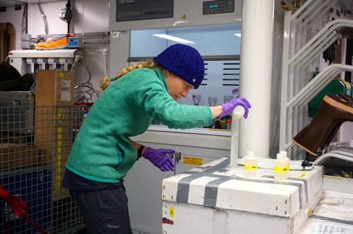 Ocean fertilization by unusual microbes extends to frigid