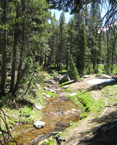 Climate change and drought threaten small mountain streams in the Sierra Nevada