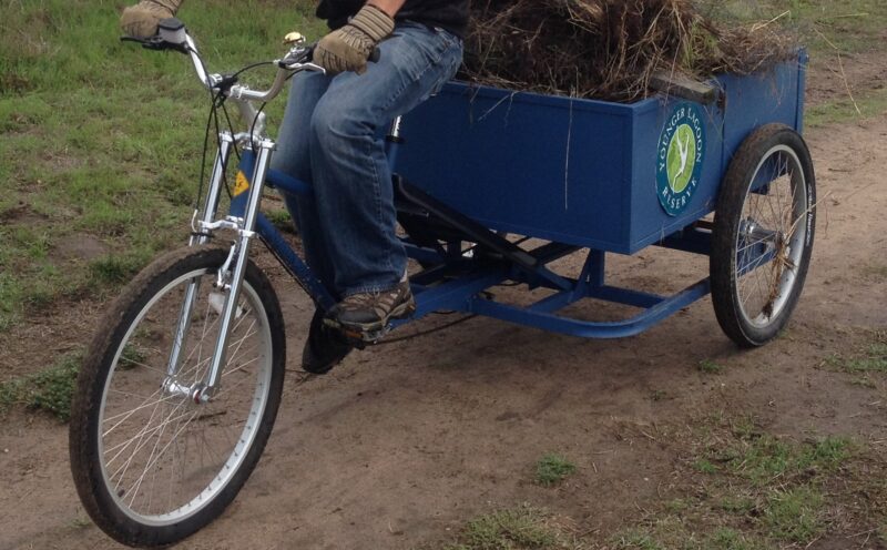 Thefts at Coastal Science Campus