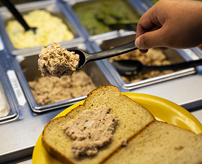 Students chowing down tuna in dining halls are unaware of mercury exposure risks