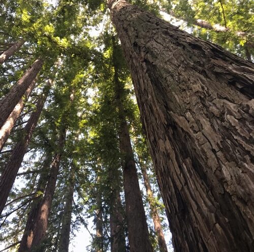 Working toward a healthy campus climate