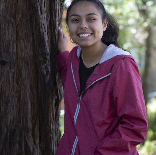 Breaking down barriers to success