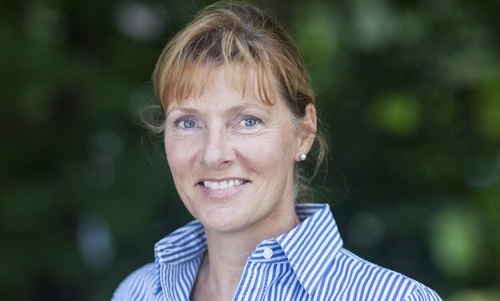 Community input key for new Athletics and Recreation Banana Slug