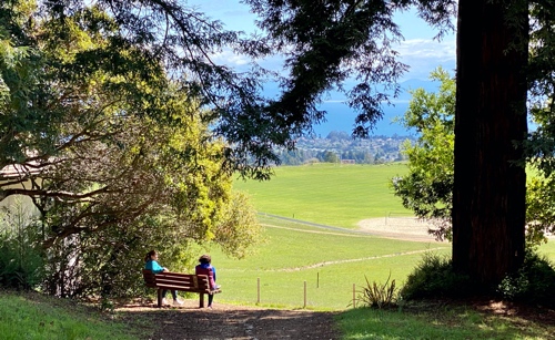 Sustaining community despite our distance