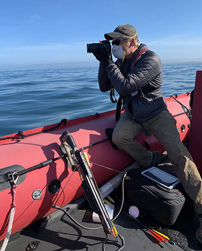 Is COVID-related reduction in marine traffic reducing stress in whales?