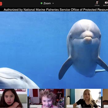 Going with the flow—famed Ocean Explorers Summer Camp heads online