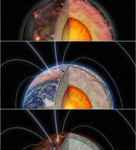 Radioactive elements may be crucial to the habitability of rocky planets