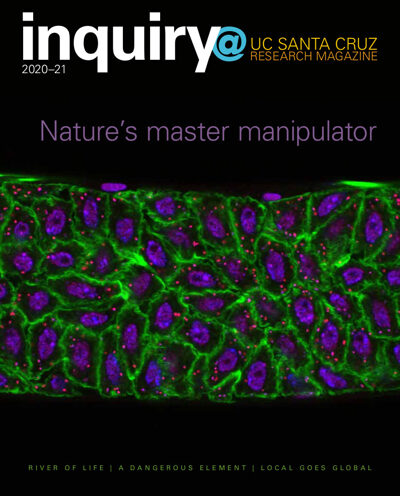 Campus publishes sixth edition of “inquiry@UC Santa Cruz” research magazine