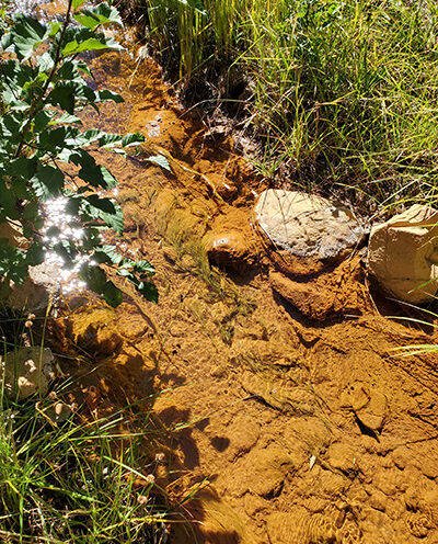 Long-term monitoring shows successful restoration of mining-polluted streams
