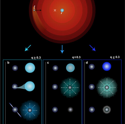 Astrophysicists explain the origin of unusually heavy neutron star binaries