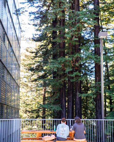 Instructional Support Corps develop resources to support TAs, faculty, students