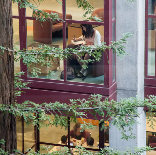 Talent Search grant extension to help more East San Jose teens achieve college dreams