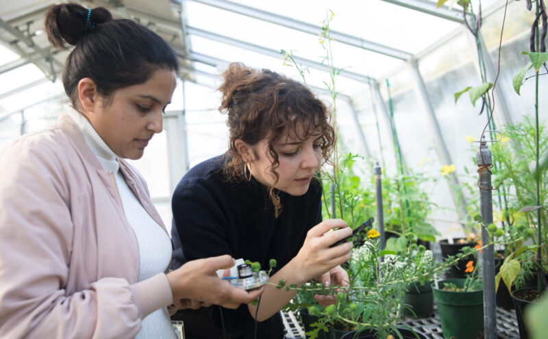 UC Santa Cruz named No. 2 public university for ‘making an impact’