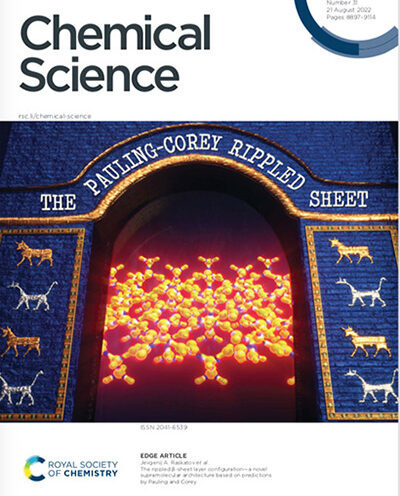 New study confirms ‘rippled sheet’ protein structure predicted in 1953