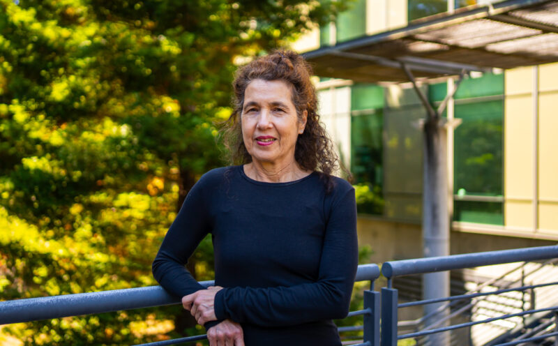Katia Obraczka appointed director of CITRIS at UC Santa Cruz