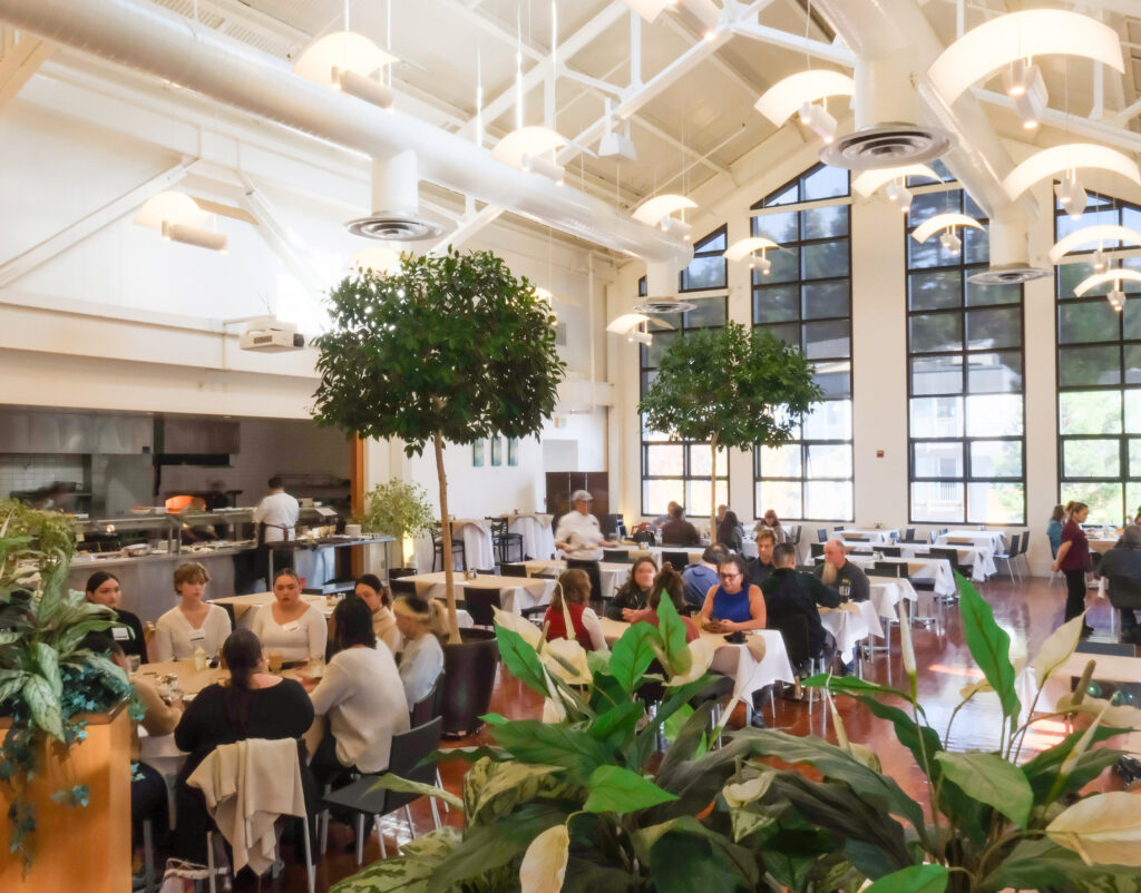 University Center Bistro now open for weekday lunch service - News