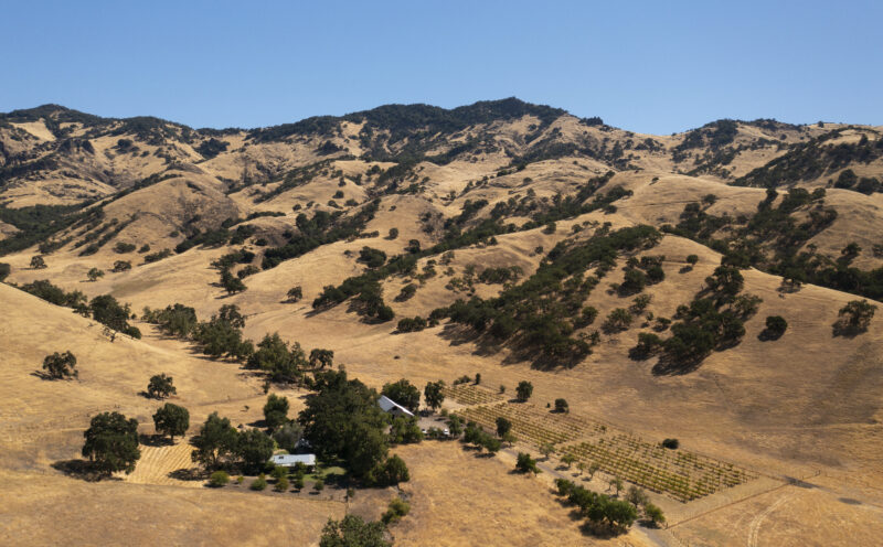 UC Santa Cruz announces a new 2,400-acre UC Reserve after Regents approval