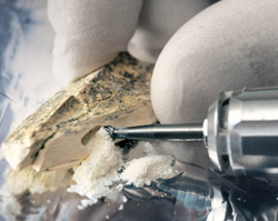 This fossil bone (not the Denisova fossil) is being prepared for DNA extraction. Photo courtesy of Max Planck Institute.