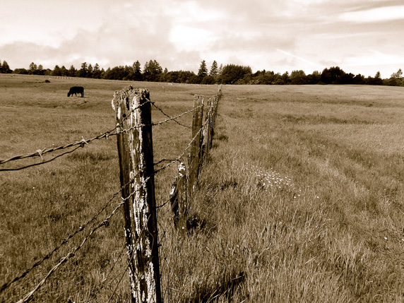 Fence