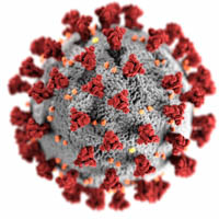 An illustration of the virus that causes COVID-19