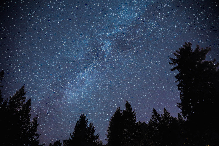 Under the Starry Sky